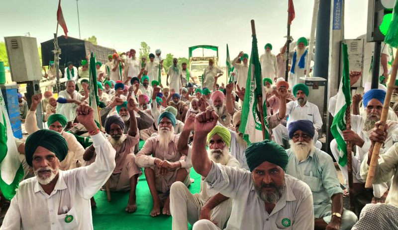 Punjab farmers make 40 toll plazas free to protest land pooling policy, US trade deal
